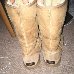 Uggs Tall Chestnut Used